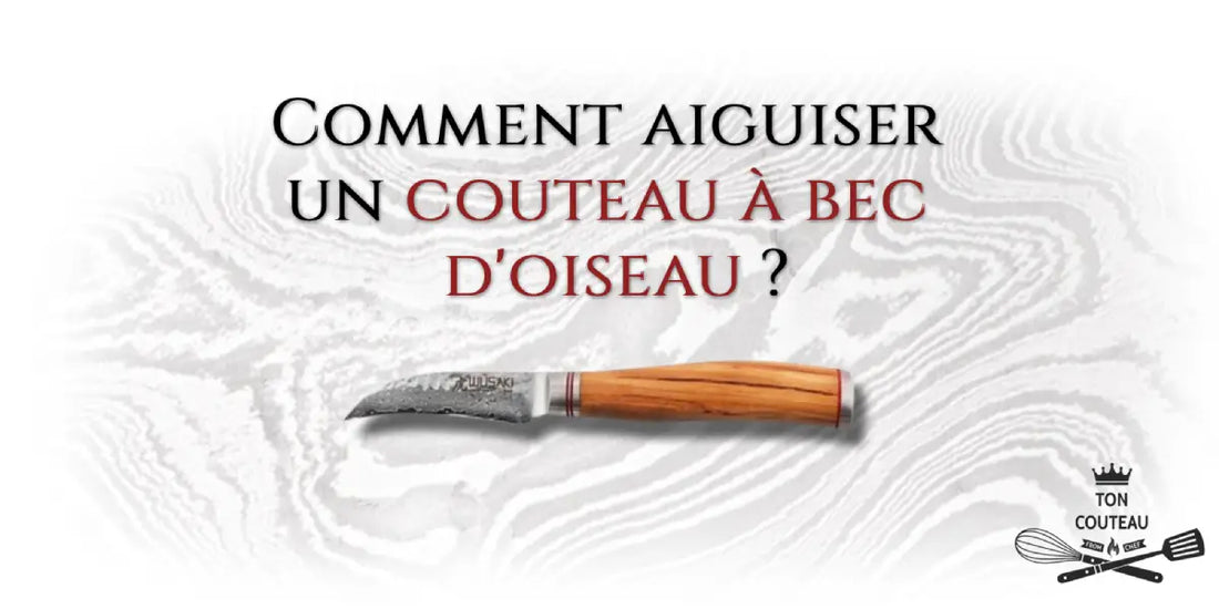 https://ton-couteau.fr/cdn/shop/articles/aiguiser-couteau-bec-oiseau_1100x.webp?v=1706709103